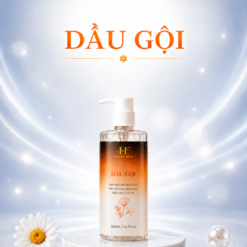 DẦU GỘI